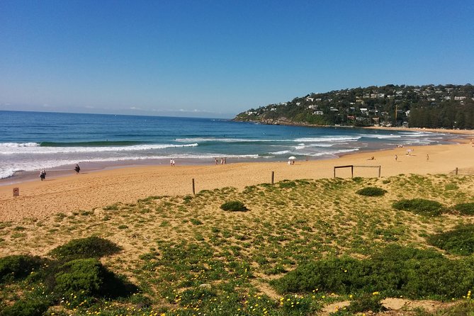 Golden Beaches and Ocean Vistas MANLY AND NORTHERN BEACHES PRIVATE TOUR - Private Transportation and Amenities