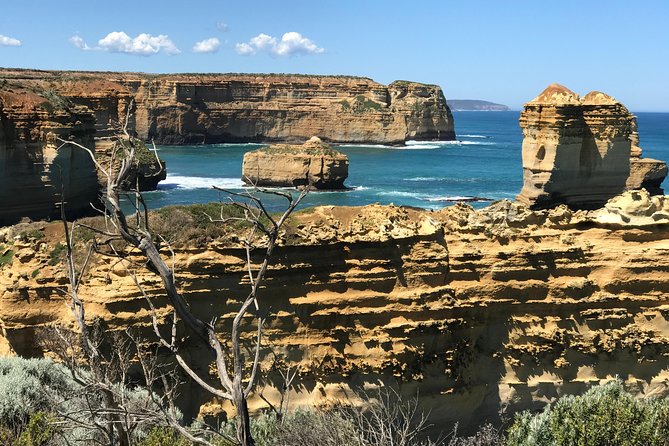 Great Ocean Road Reverse Itinerary Boutique Small Group Tour - Important Tour Policies