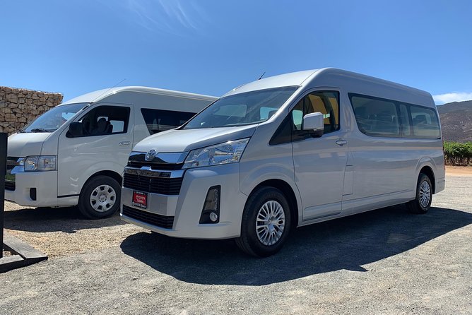 Guadalupe Valley Private Driver Tour - Winery Experience