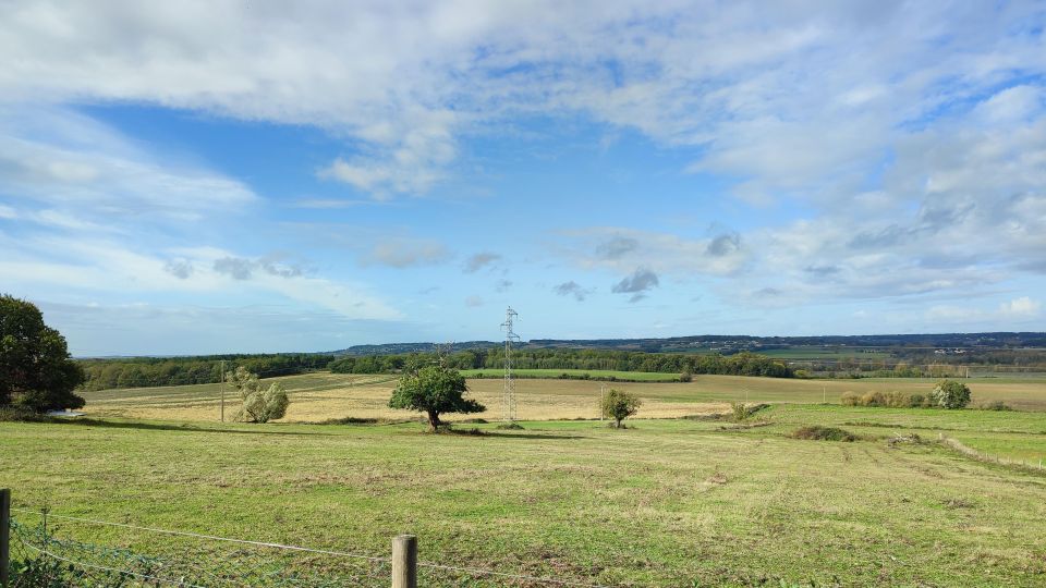 Guided Tour of the Battlefield of 732 + Poitierss Center - Itinerary