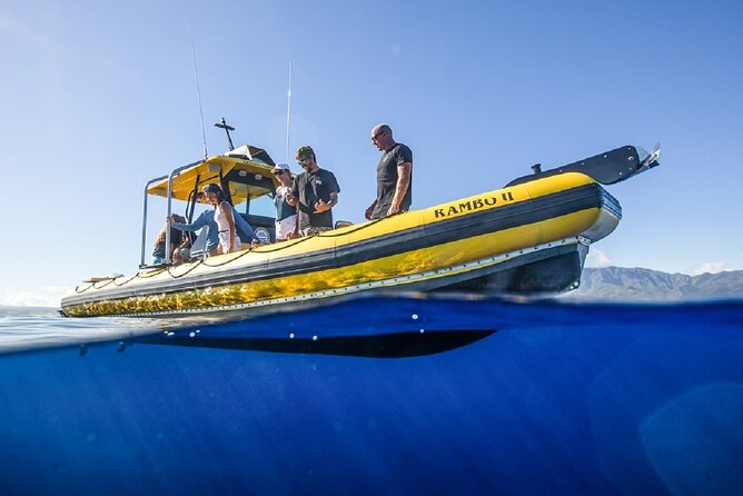 Haleiwa Small-Group Shark Dive Tour  - Oahu - Safety Policies