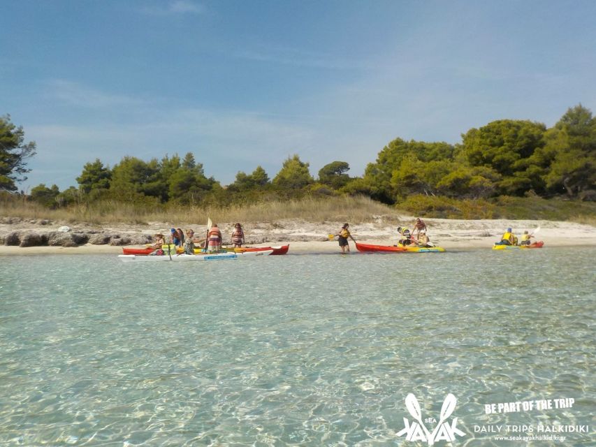 Half Day Sea Kayak Trip - Inclusions and Features