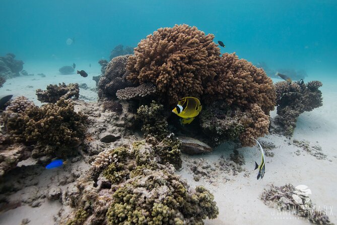 Half Day Snorkel 2.5hr Turtle Tour on the Ningaloo Reef, Exmouth - Safety and Equipment Guidelines