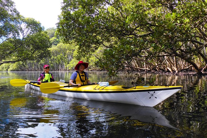 Half-Day Sydney Middle Harbour Guided Kayaking Eco Tour - Essential Tour Information