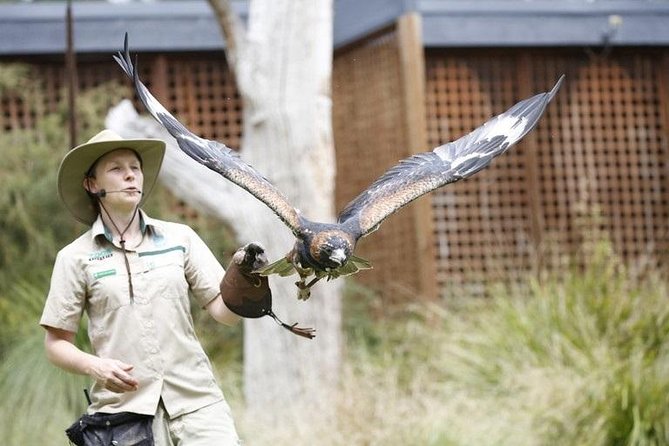 Healesville Sanctuary General Entry Ticket - Important Cancellation Rules