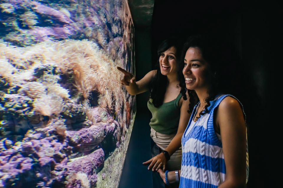 Heraklion Area: CRETAquarium Admission Ticket - Reviews and Visitor Insights