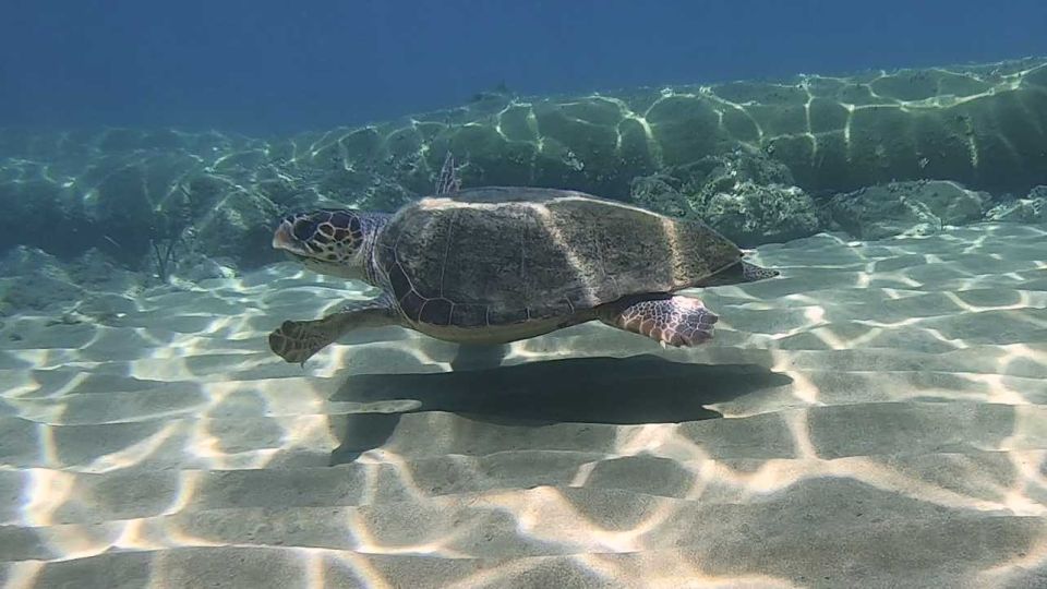 Heraklion: Beginner Scuba Diving Lessons & PADI Instructor - Important Information