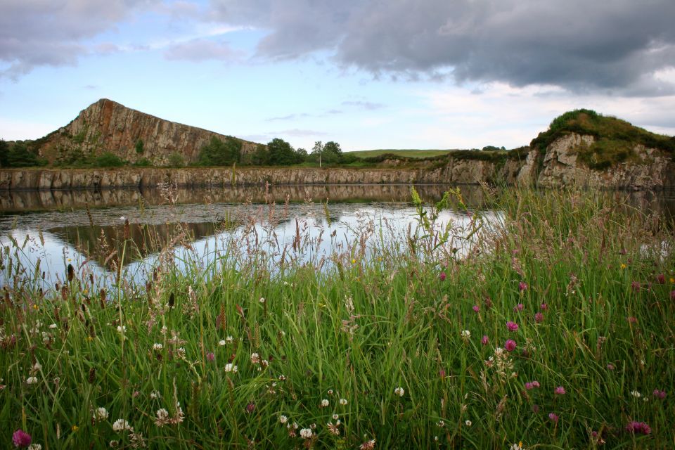 Hexham: Hadrians Wall and The Romans Full Day Guided Tour - Restrictions and Requirements