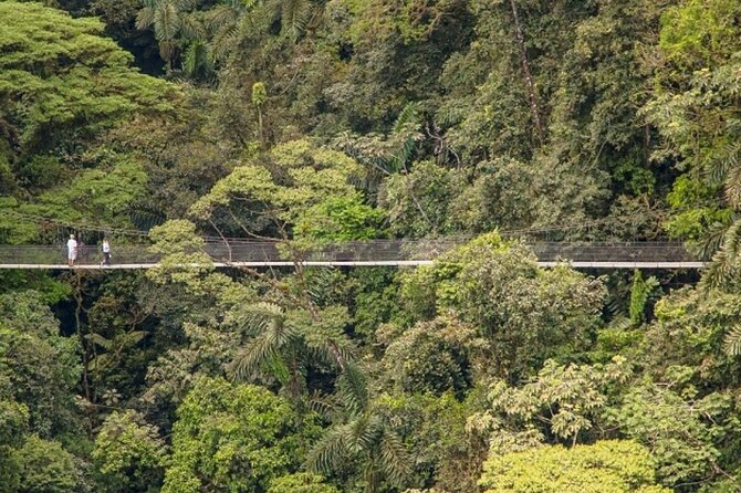 Hiking Lovers (Hanging Bridges La Fortuna Waterfall Volcano Hike) - Common questions