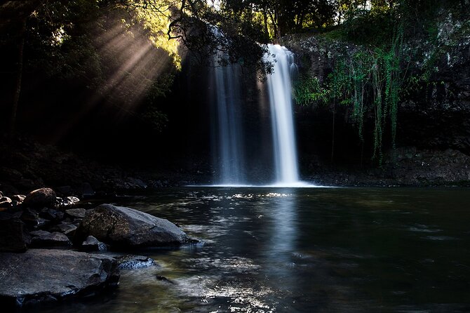 Hinterland Magic & Glow-worm Experience - Tour Guides and Operations