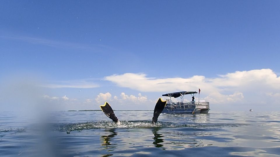 Homosassa: Snorkel & Scallop Hunt in Gulf of Mexico - Language and Highlights