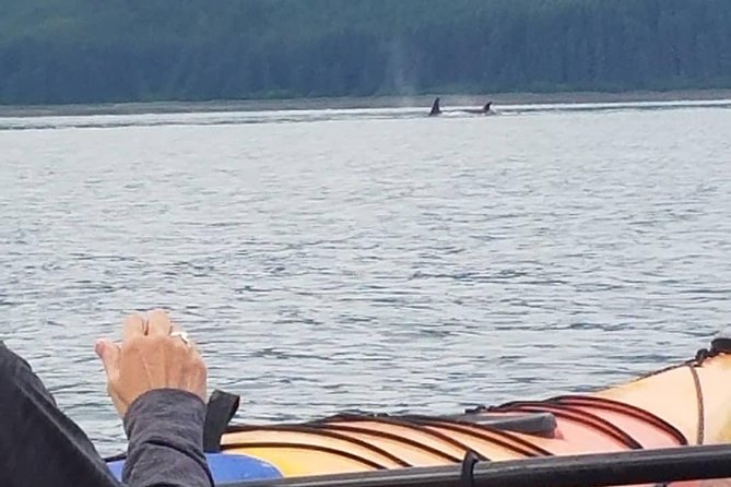 Hoonah Small-Group Kayak Tour - Highlights and Recommendations