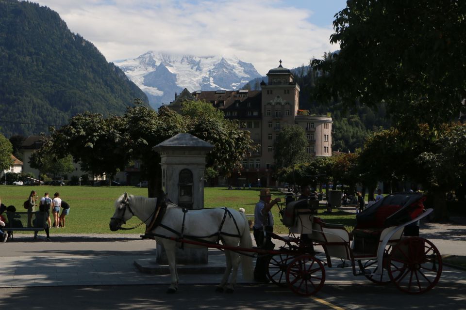 Interlaken: Highlights Tour With a Local by Private Car - Additional Information