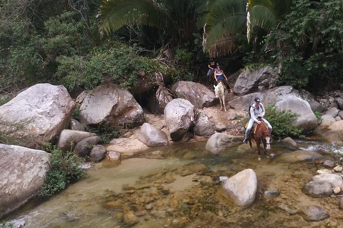 Jalisco Private Horseback Riding Tour  - Mismaloya - Booking Information