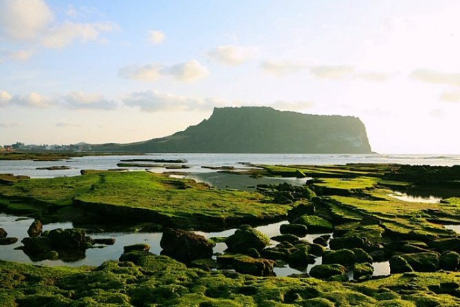 Jeju Customizable Private Tour - What to Expect on Tour