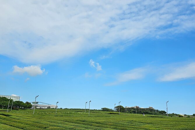 JEJU Island Private Taxi Tour-West & South of JEJU - Booking and Cancellation Policy