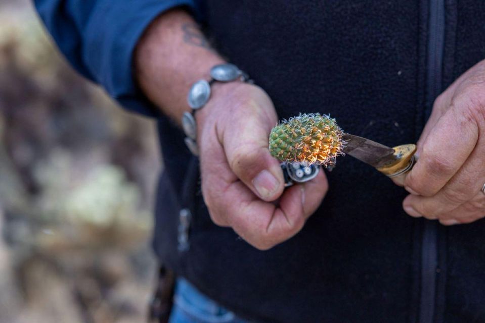 Jumping Cholla (Choya) Jeep Tour - Important Information