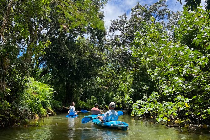 Kahana Bay Kayak and Stand Up Paddle Board Rental River to Ocean - Reviews, Photos, and Viator Information