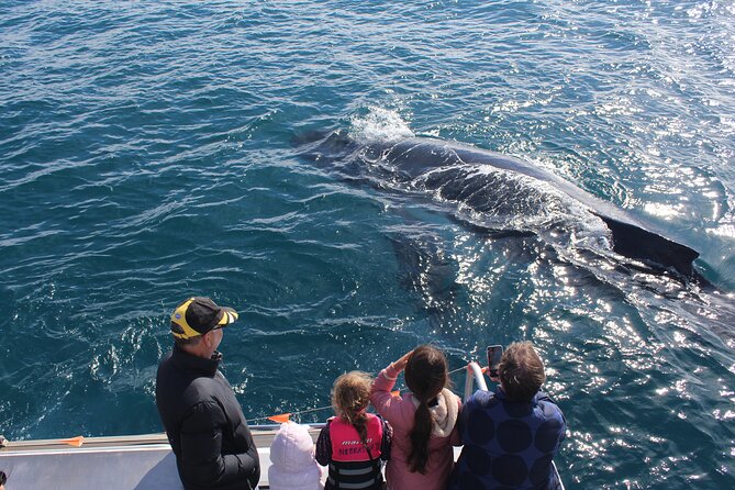 Kalbarri Whale Watching Tour - Booking and Cancellation Policies