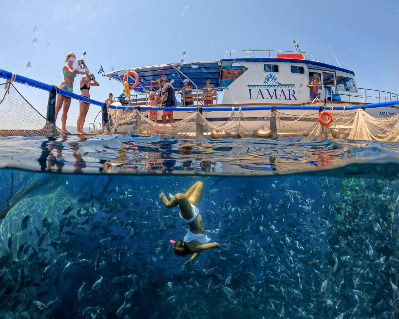 Kamiros Skala: Marine Life Experience by Boat - Booking Information