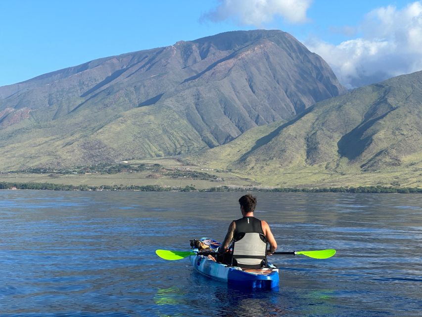 Kayak, Whale Watch And Snorkel At Turtle Town - Meeting Point Details