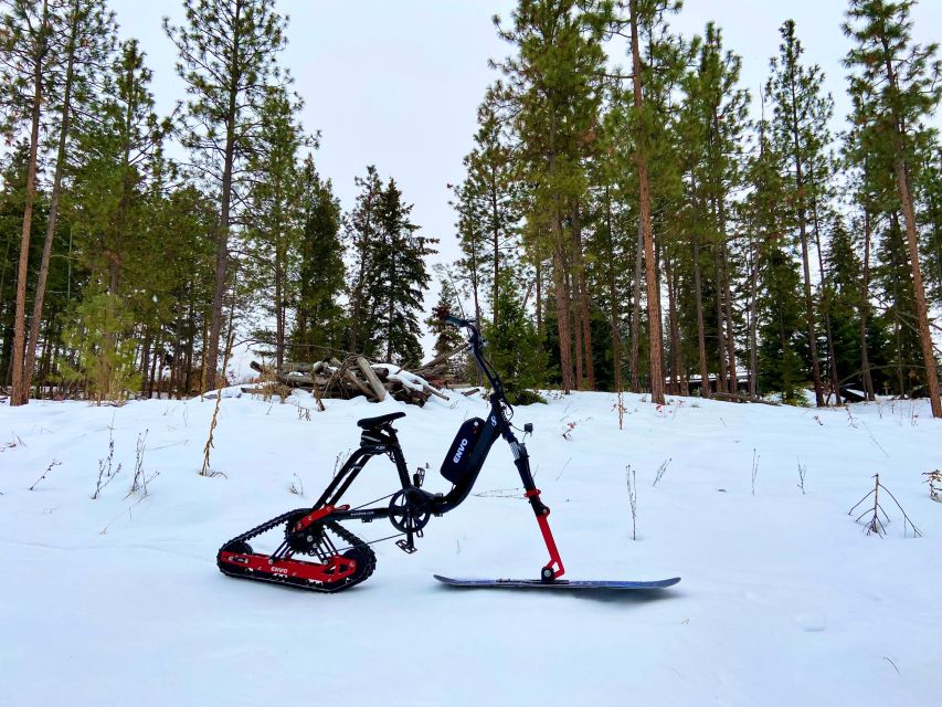 Kelowna: Snow E-Biking With Lunch, Wine Tastings & Smores - Toast Smores on Fire Pits