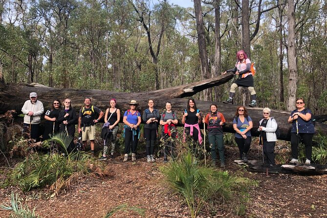 Kitty's Gorge Waterfall Hike in Australia - Booking and Cancellation Policy