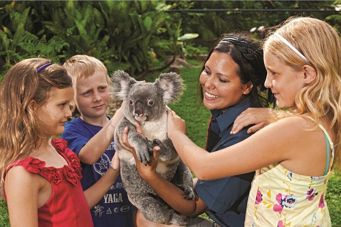 Kuranda Koala Gardens General Entry Ticket - Wildlife Exhibits and Encounters