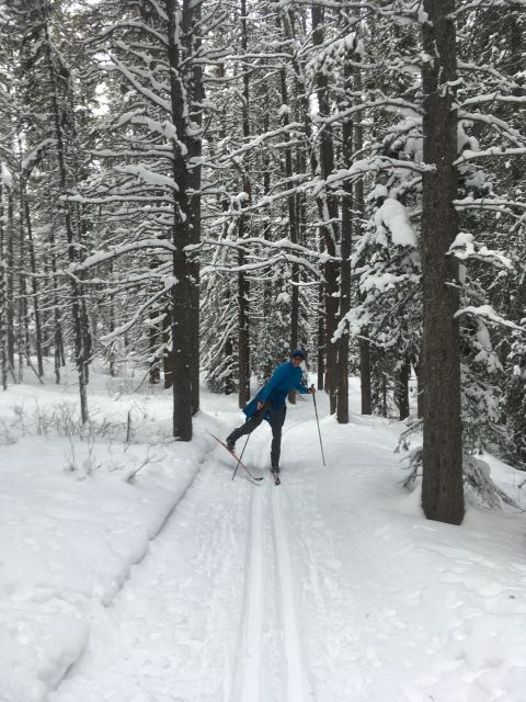 Lake Louise: Cross Country Skiing Lesson With Tour - Meeting Point and Important Information