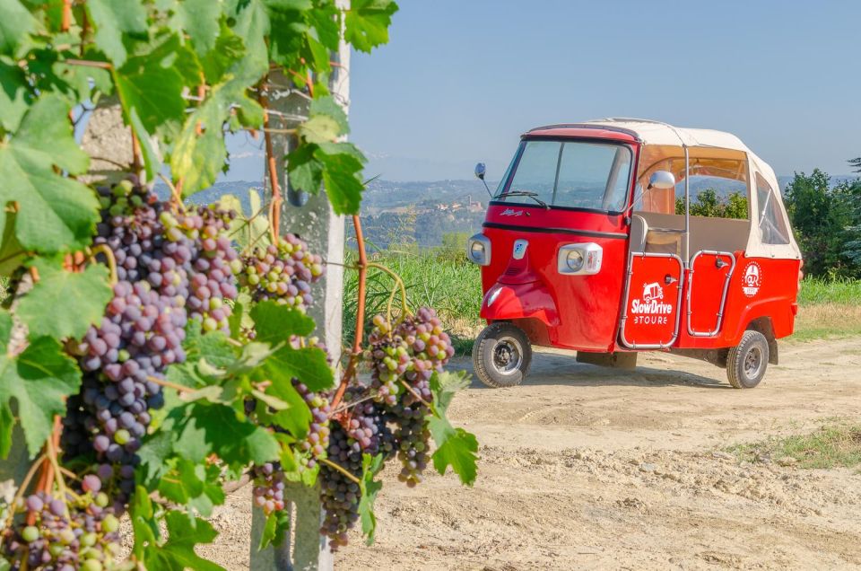 Langhe Tour by Ape With a Delicious Barolo Wine Tasting - Background