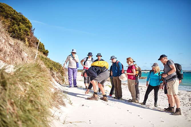 Larapuna / Bay of Fires Hiking Tour - 4 Days - Guides and Safety