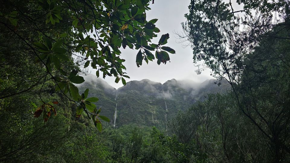 Levada Dos Tornos-Boaventura by Overland Madeira - Group Size Limitations