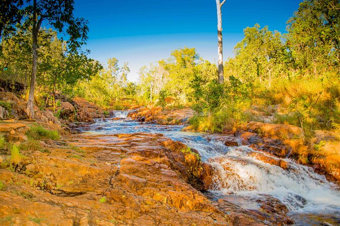 Litchfield National Park Waterfalls Day Trip From Darwin Including Termite Mounds and Lunch - The Importance of Guides