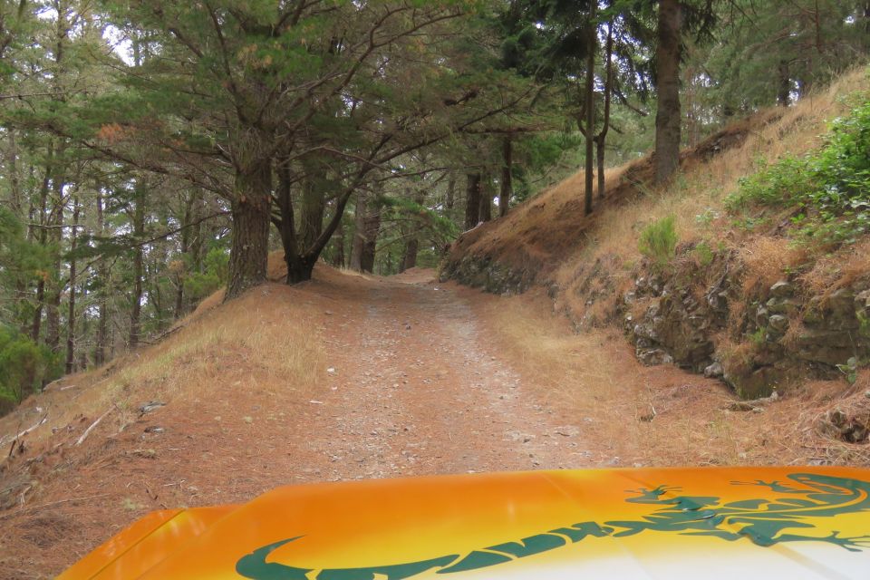 Madeira : Nuns Valleys and Pico Areeiro 4X4 Tour - Tour Details