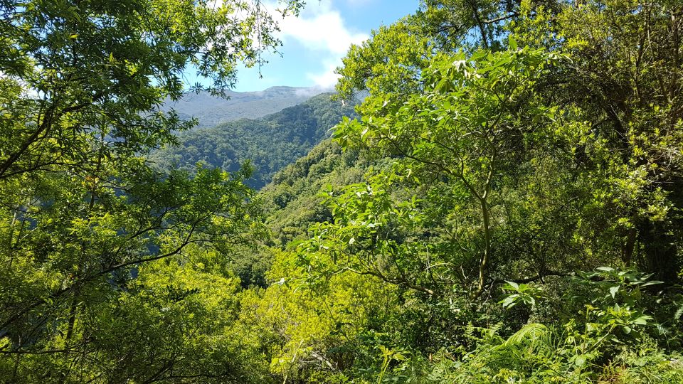 Madeira: Private Guided Levada Do Rei Walk PR18 - Meeting Point and Directions