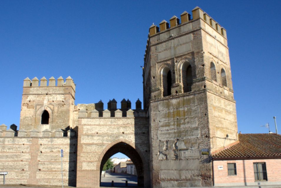 Madrigal De Las Altas Torres:Isabel La Catolica Private Tour - Inclusions