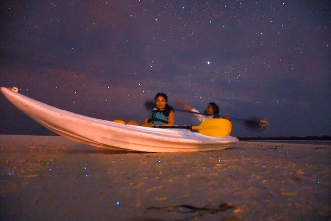 Magic Night of Stargazing and Bioluminescence - Safety Measures and Precautions