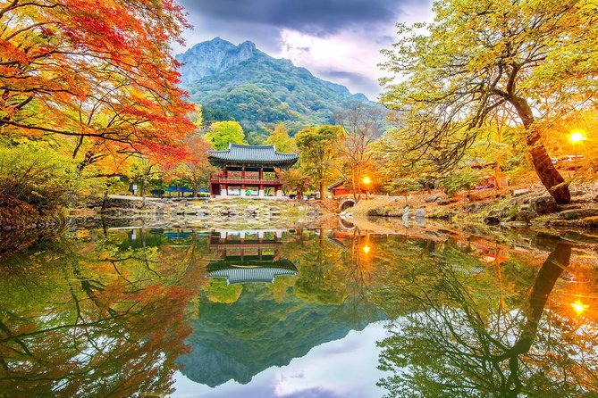 Magnificent Naejangsan National Park Autumn Foliage Tour From Seoul - Reviews and Ratings Overview