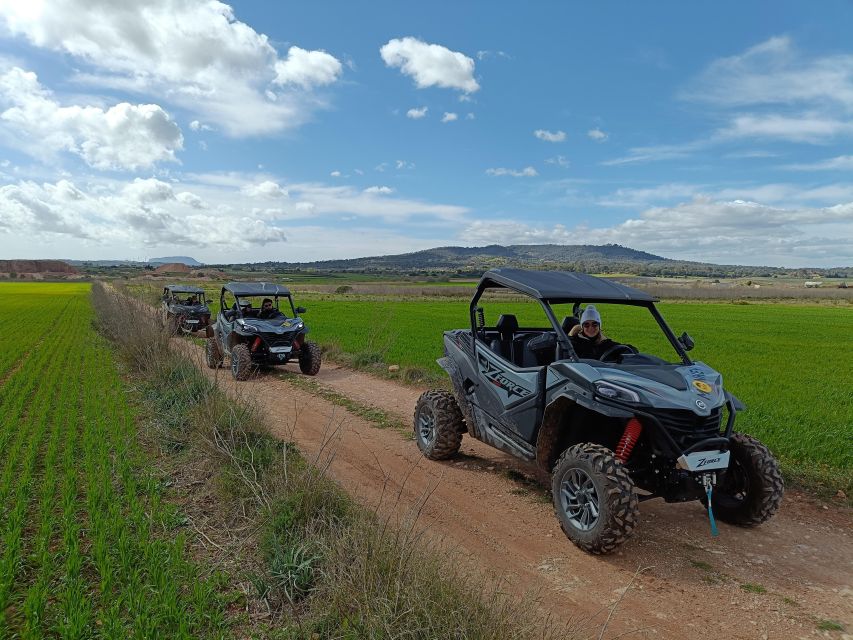 Mallorca: Buggy Adventure in the Mountains & Secret Coves - Meeting Point