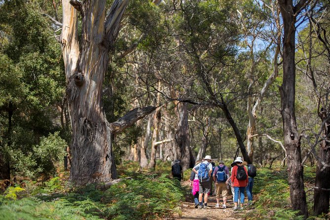 Maria Island Active Day Tour From Hobart - Meeting and Pickup Details