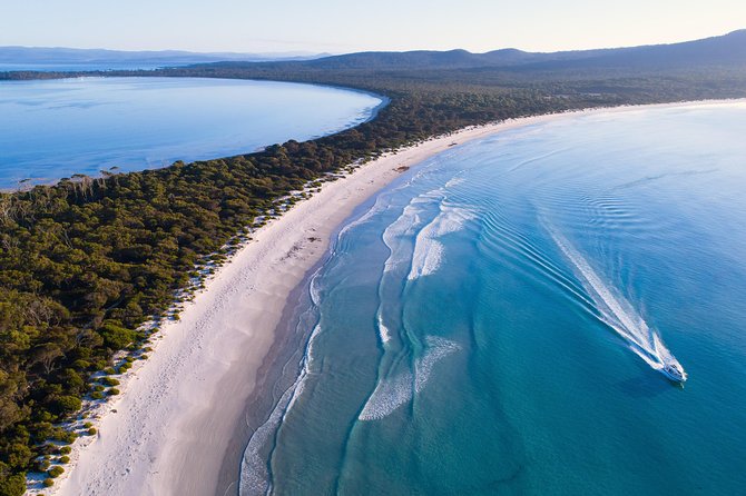 Maria Island Cruise and Guided Walk Day Tour With Lunch and Drinks - Health and Safety Information