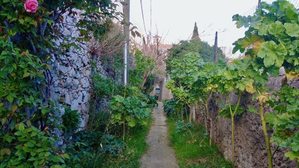 Marseille: Local Neighborhoods Guided Walking Tour - Discovering the Citys Character