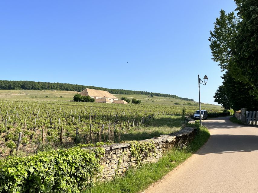 Meursault - Vineyard and Wine Experience - 3h - Booking Information and Itinerary