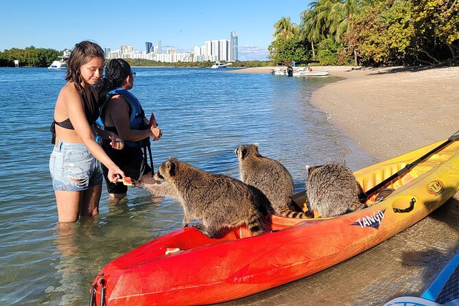 Miami: Kayak or SUP Island and Wildlife Tour - Customer Testimonials