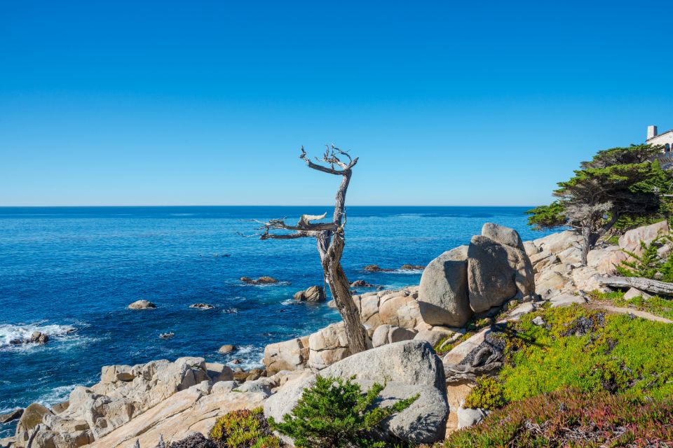 Monterey: 17-Mile Drive Self-Guided Audio Tour - Inclusions and Benefits