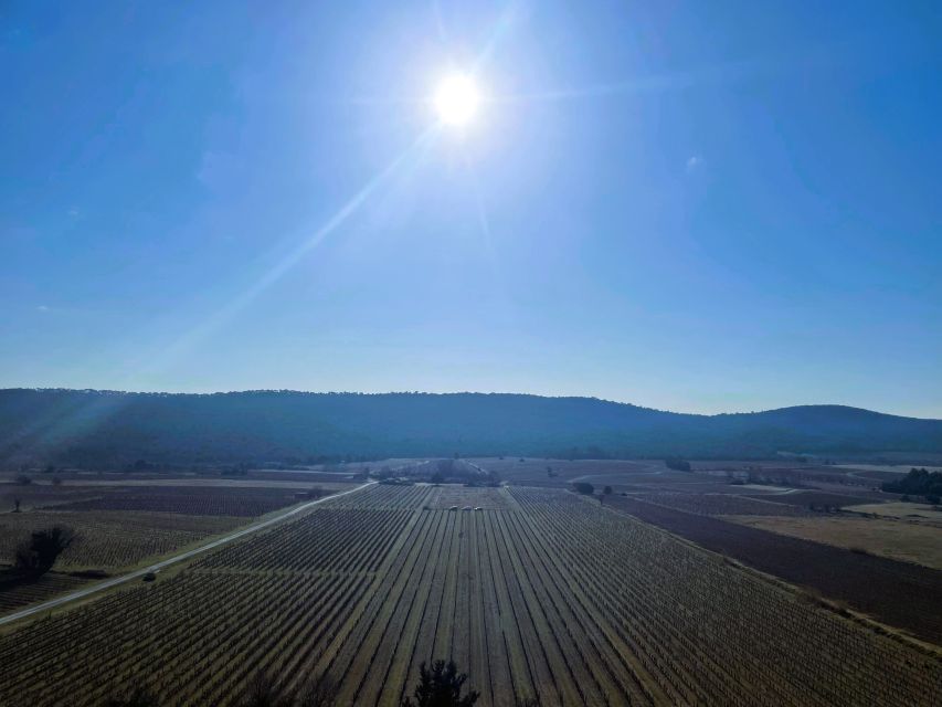 Montpellier: Half-Day Hiking Tour of Pic Saint Loup & Picnic - Customer Reviews