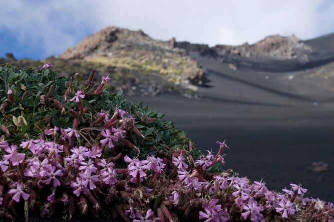 Mount Etna Excursion Visit to the Lava Tubes - Itinerary Overview