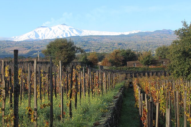 Mount Etna Hike Plus Food and Wine Tour  - Sicily - Itinerary