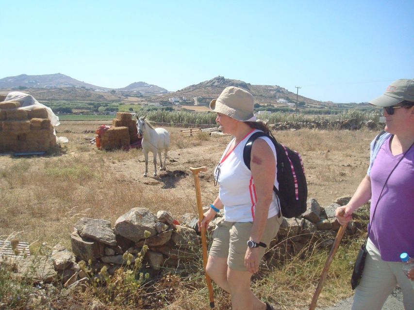 Mykonos Hiking Adventure - Tour Itinerary Details