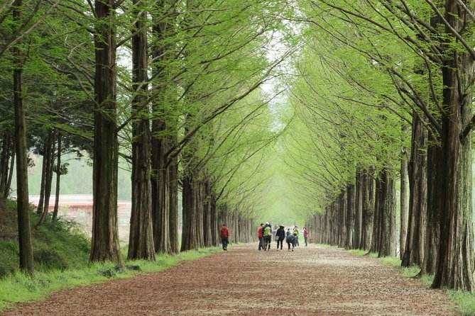 Nami Island& Petite France& Garden of Morning Calm& Italian Village One-Day Tour - Italian Village Experience